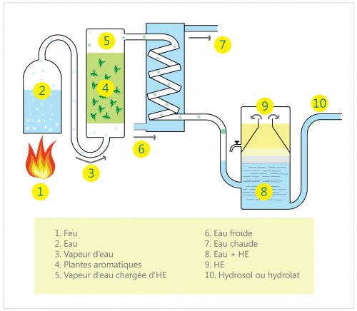 schéma de distillation