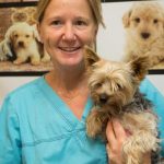 Dr Joelle ROBYNS veterinaire